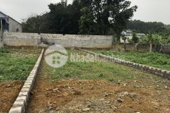 Chính chủ cần bán nhanh 60m2 nở hậu đất xã thuỷ xuân tiên huyện chương mỹ hn giá chỉ 1 tỷ.