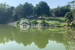 Chủ cần bán 1,4ha đất nghỉ dưỡng lương sơn hoà bình cách sân golf sky lake 1km.