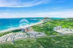 Nhơn hội new city và những điều chưa được khai thác