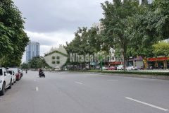 Tây hồ ô tô tránh gara kinh doanh văn phòng ở sướng, 17 tỷ, lh 0364663000