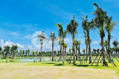 Cơ hội sở hữu biệt thự biển vừa xa hoa vừa lâu dài tại venezia hồ tràm, htls 0 trong vòng 18 tháng.