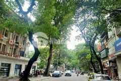 Bán đất tặng nhà trần xuân soạn hai bà trưng ngõ nông rộng oto 7 chỗ đỗ cửa giá nhỉnh 5 tỷ