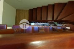 Siêu hót, ngõ nông, rộng 3m, bán nhà cầu giấy, 31m 5 tầng