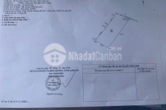 Bán 2000m2 đất lúa tân bửu, long an