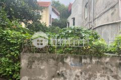 Chính chủ tôi bán lô đất tại cổ bi gia lâm, 77 m2 chuyển nhượng 44 triệum2.