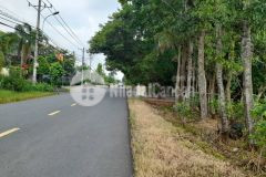 Biệt thự sân vườn view sông mt kênh an hạ, phạm văn hai, bình chánh