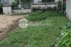 Bán 130m2 đất thổ cư tại kim trung, hưng hà, sổ đỏ, chỉ 685 triệu. lh0333775893.