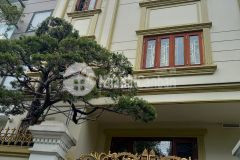 Chính chủ bán nhà vip tân mai oto tránh 85m5 tầng mặt tiền 5.1m