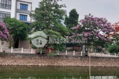 Bán đất giang biên lô góc ngõ thông ô tô tránh 110m2 mt7x16m chỉ 8 tỷ hơn