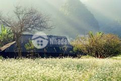 Đất mộc châu, đón sóng quy hoạch sân bay, du lịch sinh thái, đầu tư sinh lời giá tốt.