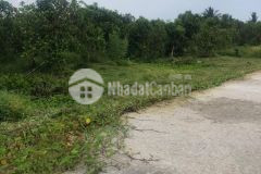 Đất vườn nghĩ dưỡng phú thứ cái răng cần thơ 20 x 60