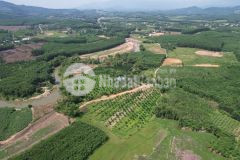 Vườn bưởi 1380m2 khánh đông khánh vĩnh chỉ 550 triệu