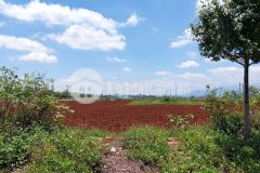 D466 bán đất trung tâm hành chính huyện cư kuin ea tiêu