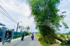 Bán nhanh lô biệt thự 221mngang 9,view đồng, điện tiến, điện bàn