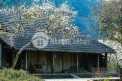 Bán đất mộc châu nằm trên mặt đường ql6 phù hợp đầu tư kinh doanh