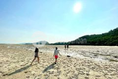 Cần bán mảnh đất hơn 700m2 tại vân đồn pháp lý rõ ràng, an toàn đầu tư