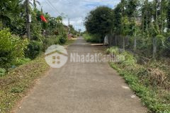 D467 chủ cần bán nhanh lô siêu đẹp hẻm cấp 1 thôn cao thắng eakao