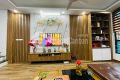 Phân lô đền lừ 1, ô tránh, vỉa hè rộng 40m2, 5 tầng, 10.49 tỷ.