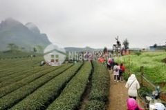 Mộc châu bán mảnh đất khu vực trung tâm vị trí thuận lợi