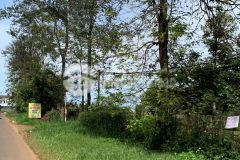 1 xào 450tr sẵn 50m2 thổ cư