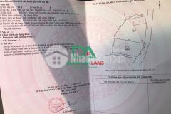 Chính chủ gửi bán đất xã vân nội đông anh hà nội 368m2 xóm nhì gần đầm vân trì