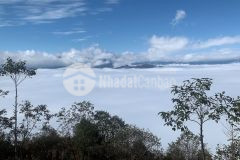 Đất nền y tý sapa2 đón sóng quy hoạch sân bay, tiềm năng tăng giá cao.