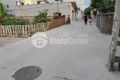 Bán gấp lô đất đường ô tô tt quang minh, mê linh, hà nội, 110m2 x mt 5m, chỉ 20trm2.