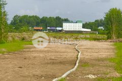 Giai đoạn đầu tư lúa non