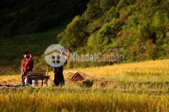 Bán đất gần trung tâm y tý, vị trí đắc địa. gần điểm check in công viên choẻn thèn nổi tiếng