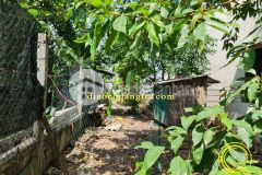 Đất nền thành phố đông hà, đất cao ráo đường oto lướt vi vu.