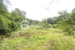 Bán gấp lô đất ở vĩnh đồng dt 3442.6m2 mà giá chỉ hơn 2, x tỷ, cách an lạc eco 800m, mời ac nđt ạ