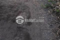 9,5công ấp 7,tam hiệp,châu thành,tiền giang