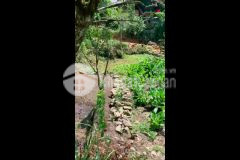 Cần bán mảnh đất ngay trung tâm y tý rộng gần 400m2 có giá đẹp cho các nhà đầu tư