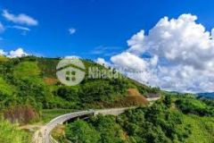 Đất tại pha luông mộc châu hơn 100m2 gần quốc lộ 43 làm homestay cực đẹp