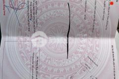 Nhà 2 tầng mặt tiền đào duy kỳ, sơn trà, nhà đẹp, giá đầu tư