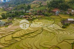 Sở hữu mảnh đất trung tâm sapa view cực đẹp thích hợp cho nhà đầu tư khai thác du lịch