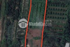 Cần bán đất mặt tiền bùi hữu nghĩa 918