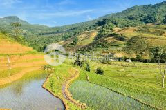 Mảnh đất rộng gần 600m2 tại phan cán sử nơi tập trung khu giải trí của y tý