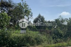 Chị gái cần bán gấp để xây nhà. được giá bán ngay