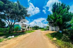 Cần bán gấp đất thổ cư biển hồ tp. pleiku