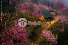 Đất mt siêu rộng 35m quản bạ hà giang.