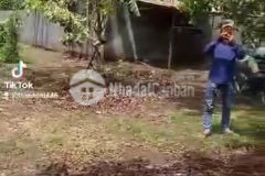 Kẹt tiền bán 3,9 xào đất tcln tại thống nhât, đồng nai, shr, 1.2 tỷxào. lh0974674416