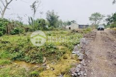 Bán 3829m đất view cánh đồng tại tân lạc