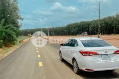 Hót bán gấp 2 nền đất thổ cư đồng tiếnđồng phú sổ sẳn, giá rẻ nhất khu vực.