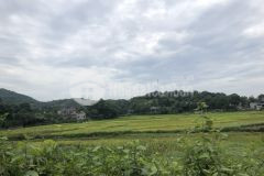 Cần bán khu đất nghỉ dưỡng tại tt lương sơn,hoà bình cách hn 30km hoa hậu 1,3ha nhỉnh 1tr1m