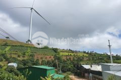 Sở hữu 525m2 đất sổ riêng chỉ 1 tỷ 650 triệu ngay khu điện gió đồi chè cầu đất