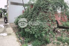 Bán gấp đât thổ cư đường đức thượng hoài đức,66m2 chỉ 2.5 tỷ.