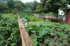 Bán gấp đất vân nội đông anh hà nội đường ô tô tránh, ngõ thông, dt 125m x mt 5m, nhỉnh 4 tỷ.