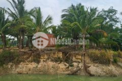 Bán đất,2 mt, tân phúc,hàm tân,giá 4ty6,8,929m2.