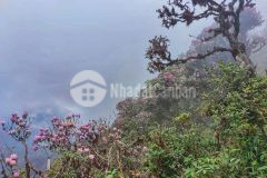 Đất nền cô tô gần sân bay, bãi tắm hồng vàm